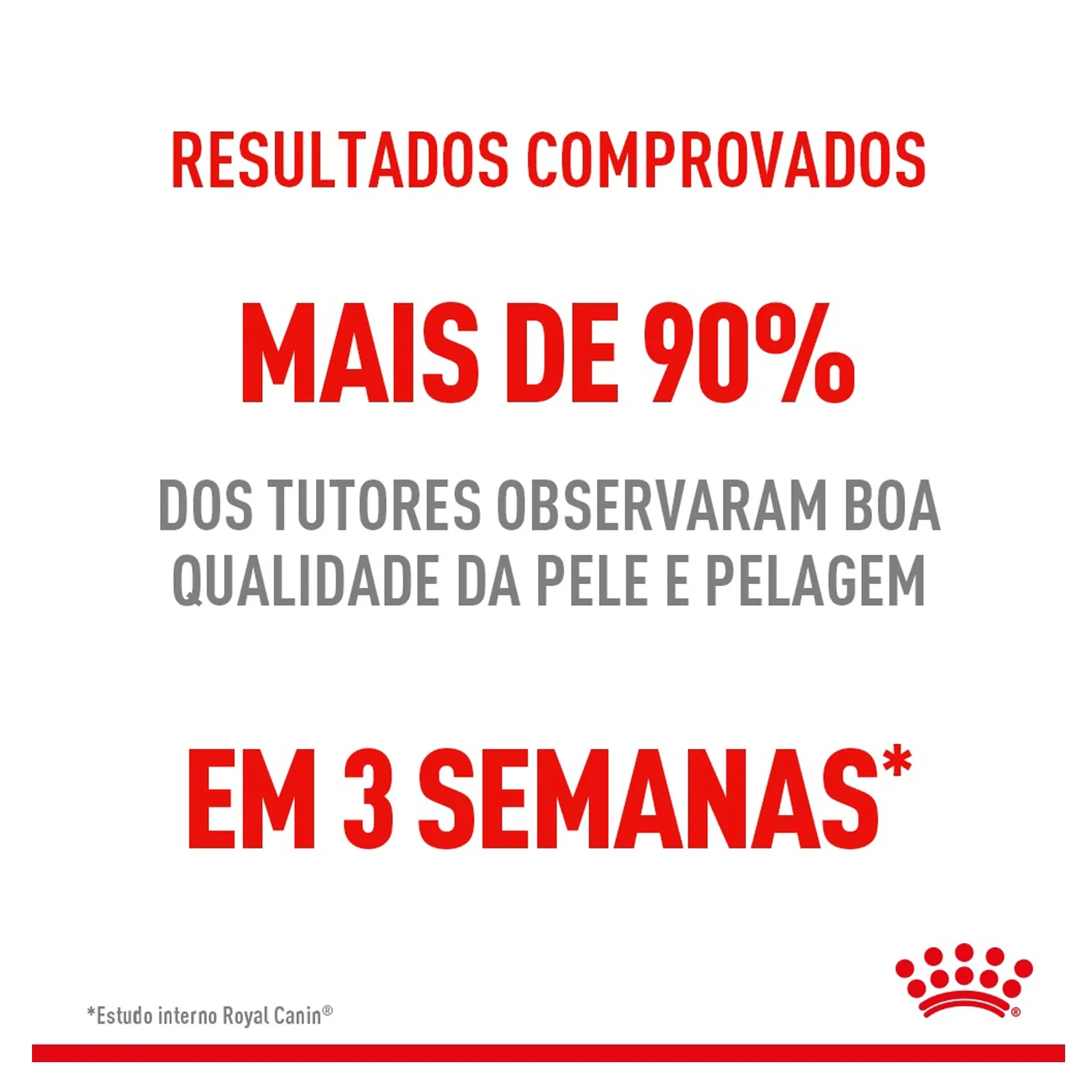 Ração Royal Canin Pele e Pelagem para Gatos Adultos